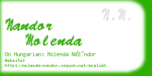 nandor molenda business card